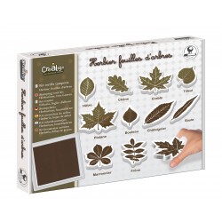 Stamp tool kit "Herbarium, tree leaves"